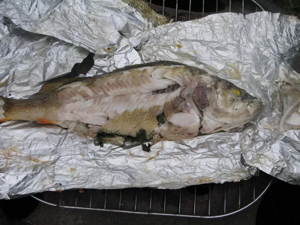 Līgo zivis grilēta folijā